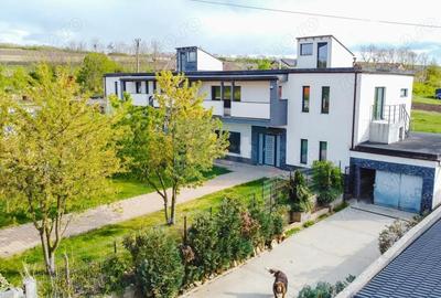 Casă cu Teren 527 Mp în Jucu - 12