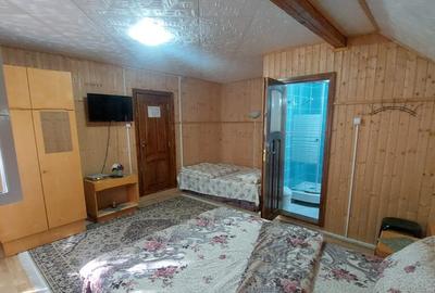 Spațiu comercial, de 450 mp, în Lepșa - 14