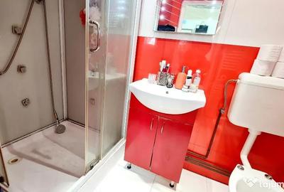 Apartament cu 2 camere semidecomandat în Drăgășani - 7