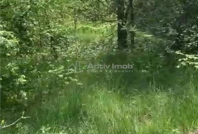 Teren de 500 mp, în Găneasa - 2