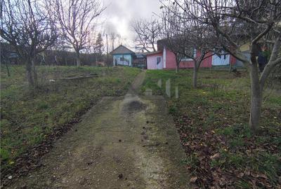 Teren de 750 mp, în Bucium - 11
