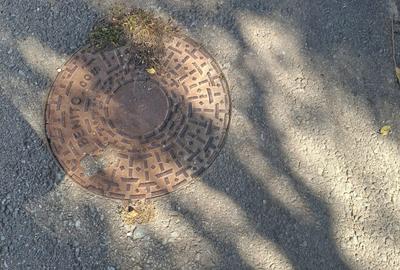 Teren | Pasarea - Branesti | Su: 700 mp | Utilitati | Ideal Casa | Investitie | Teren | Pasarea - Branesti | Su: 700 mp | Utilitati | Ideal Casa | Investitie | - 7