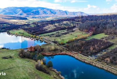 Teren de 550 mp, în Sadu