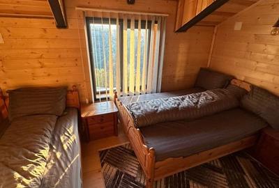 Casă cu 2 camere în Bistra - 1
