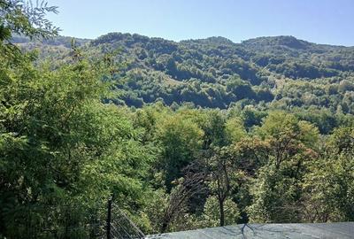 Casă cu 5 camere cu Teren 1500 Mp în Drajna - 5