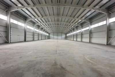 Hala productie, depozitare, showroom, 600-1746mp, Parc Miroslava - 3