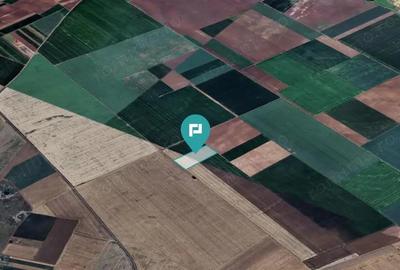 Teren arabil de 4,4Ha in ?imand - 4