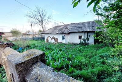 Vand Casa Maldaeni - 4