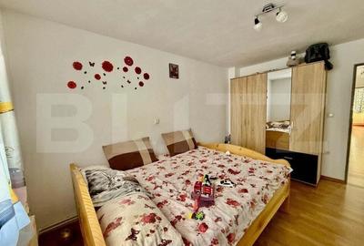 Casa de vanzare in Sugag Ideala pentru locuin?a sau investi?ie. - 12