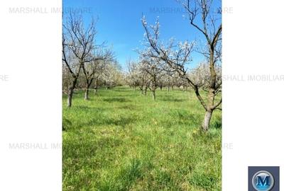 Teren intravilan de vanzare in Baicoi, 4036 mp #15948 - 4