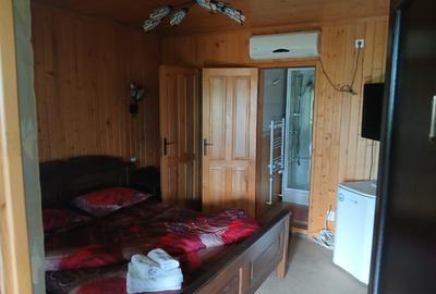 Casă cu 5 camere cu Teren 10208 Mp în Eșelnița - 6