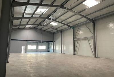 Spatiu depozitare si productie Stefanestii de Jos - Soseaua de centura - 3