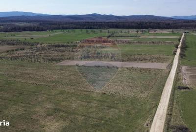 Spațiu comercial, în Marginea - 1