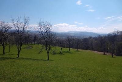 Teren de 17264 mp, în Pietroasa - 1