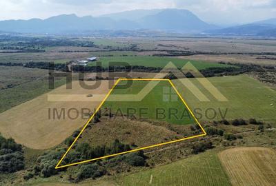 Oportunitate Investitie | Glajarie - Rasnov | Extravilan | 29.300mp - 2