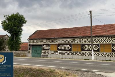Casă individuală cu 5 camere cu Garaj în Remetea-Pogănici - 4