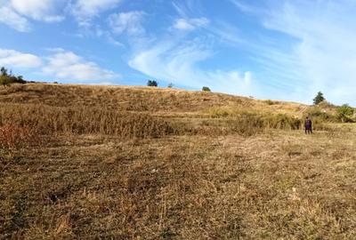 Teren de 21000 mp, în Jugureni - 3