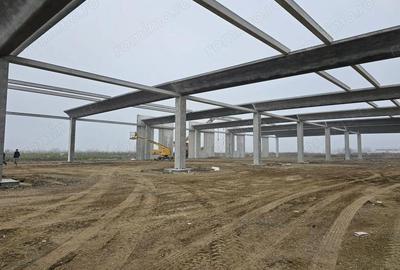 Vanzare hale/depozite/productie -industrial-Chitila - Rudeni, ILFOV - 8