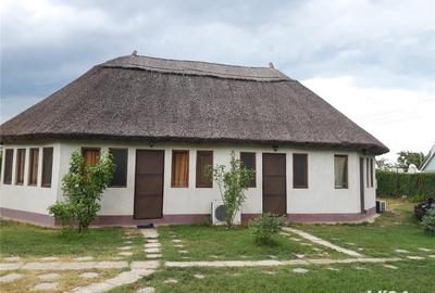 Casă cu 10 camere cu Teren 2433 Mp în Murighiol - 7
