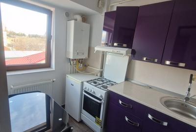 Apartament cu 1 camera, decomandat, zona Centru-Palas Campus - 4