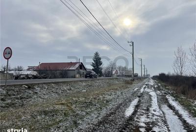Teren de 26000 mp, în Cefa - 10