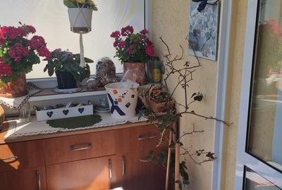 Apartament cu 3 camere decomandat, mobilat în Ostroveni - 11