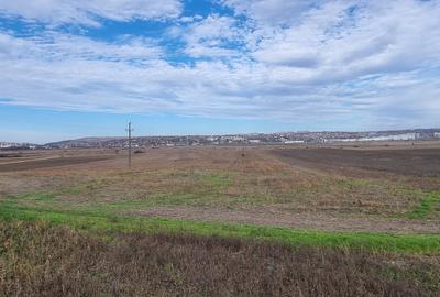 Teren 2 Ha - Gaureni, Miroslava - Zona Mall Moldova - 4