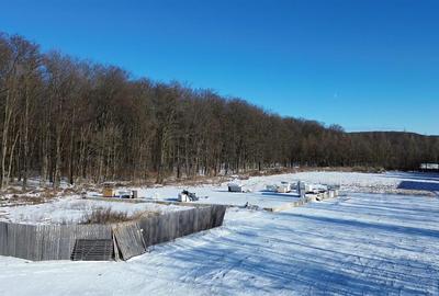 Teren Construcții intravilan de 9850 mp, în Dragomirna - 2