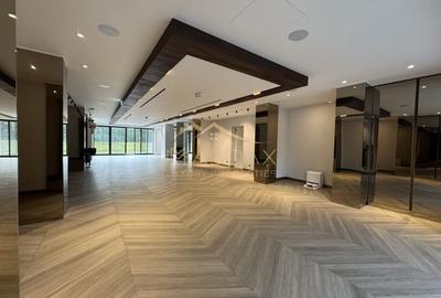 Spațiu Comercial de Lux - Kiseleff *376mp Spațiu Comercial de Lux - Kiseleff *376mp - 4