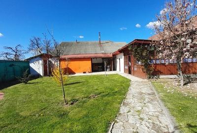 Vanzare proprietate - casa si teren  Voinesti Dambovita - 10