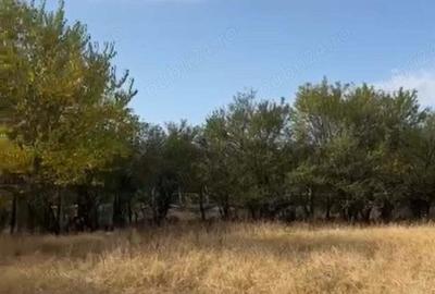 Vanzare teren intravilan cornatelu dambovita - 2