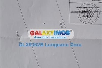 Spațiu comercial, în Vest - 4