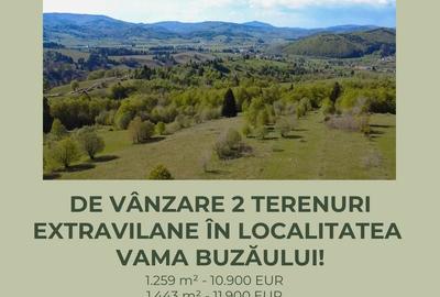Teren de 2702 mp, în Vama Buzăului - 7