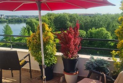 Apartament cu 3 camere semidecomandat, mobilat în Dămăroaia - 4