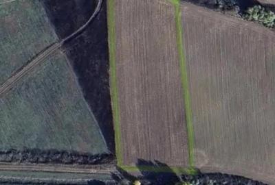 Teren intravilan de 5800 mp, la Asfalt zona Bucovat - 1