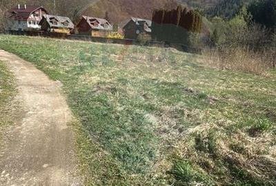 Teren Construcții intravilan de 850 mp, în Tarnița - 5