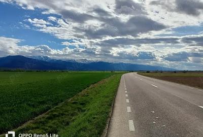 Teren de 2000 mp, în Berivoi - 1