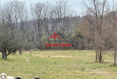 Casă cu Teren 2080 Mp în Brebu - 4