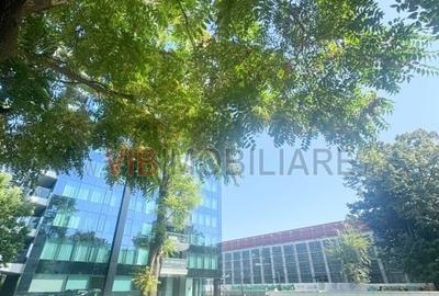 Apartament 3 camere vedere unică spre Parcul Floreasca - 10
