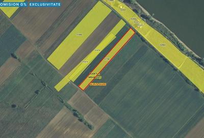 Teren agricol extravilan de 5000 mp, în Vrancea - 1