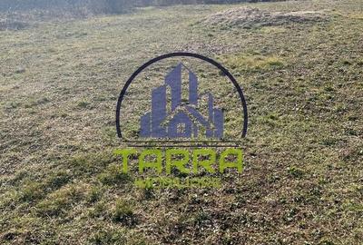Teren de 3000 mp, în Cetate