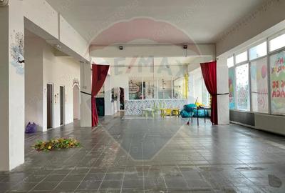 Spațiu comercial, de 226 mp, în Dacia - 17