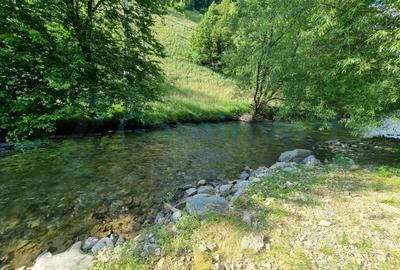 Teren intravilan 1692 mp in Remeti, Bihor, GAMINVEST, V4336 - 7