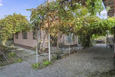 Casă cu Teren 1019 Mp în Moara Vlăsiei - 6