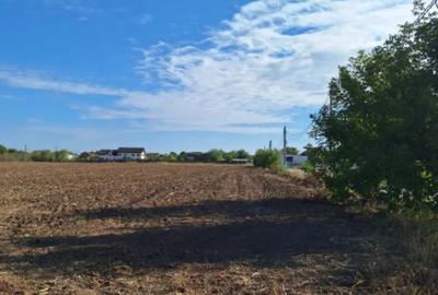 Teren de 530 mp, în Ciofliceni - 5