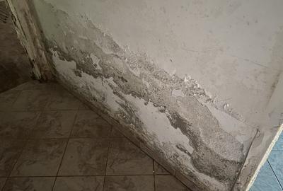 Casă individuală cu 5 camere cu Teren 1381 Mp în Costești - 8