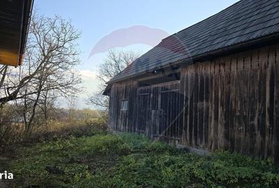 Teren de 10860 mp, în Gălănești - 4