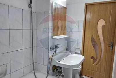 Apartament cu 2 camere semidecomandat, mobilat în Malu Roșu - 4