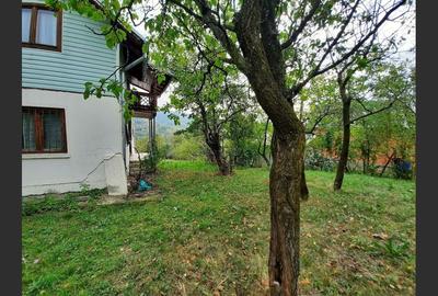 Casa Veche, Central Drajna de Jos 5000 mp Casa Veche, Central Drajna de Jos 5000 mp - 7