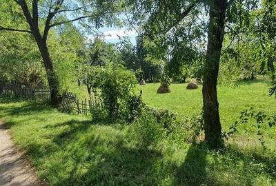 Teren Poienari la doar 9 km de Cetate - 4